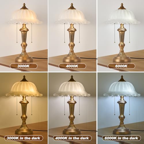 Glass Shade Table Lamp 2 Lights Vintage Metal Desk Lamp with Plug Switch for Bedroom Living Room Home Office Brass and White