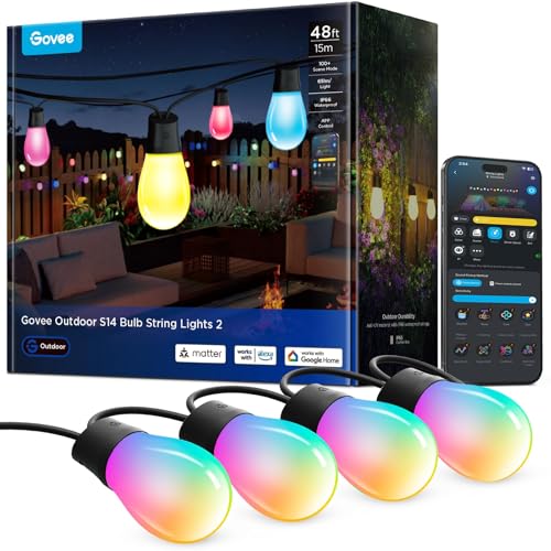 S14 Bulb Outdoor String Lights 2 (48 Foot)
