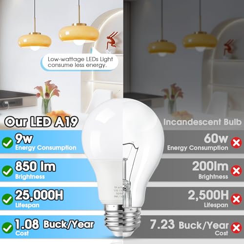 A19 LED Light Bulbs (35 Count)
