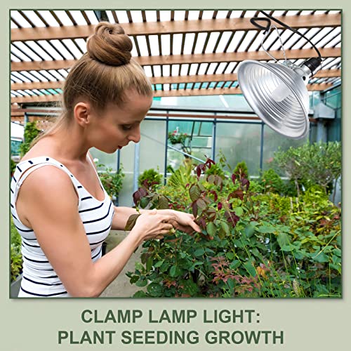 8 Pack Clamp Lamp Light with Aluminum Reflector