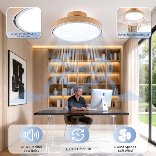 Bladeless Ceiling Fans with Lights and Remote