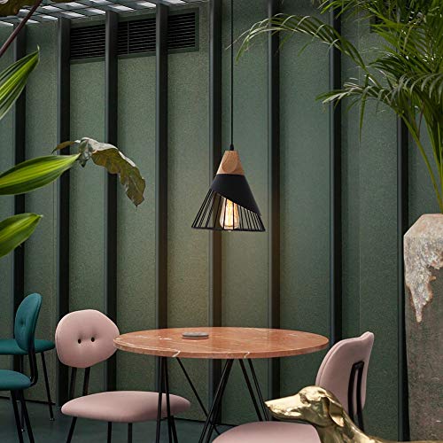 2 Pack Modern Farmhouse Pendant Light (2 Count)