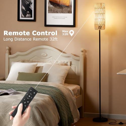 64'' Floor Lamps for Living Room with Remote Control and Stepless Dimmable Colors Temperature & Brightness