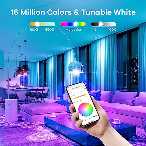 Smart Light Bulbs