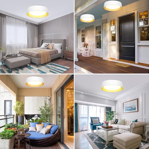 Flush Mount Ceiling Light