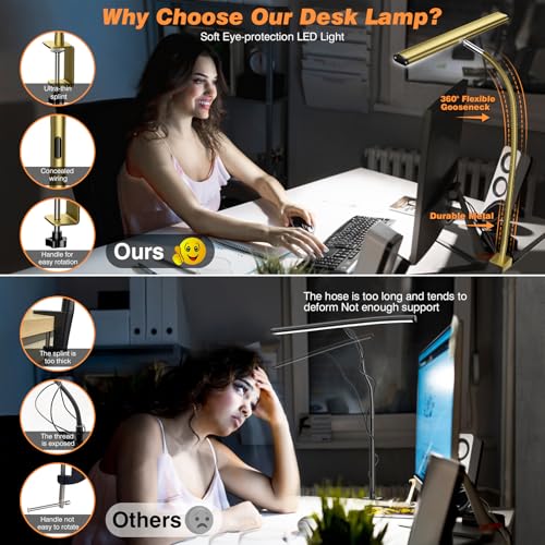 LED Desk Lamp with Clamp