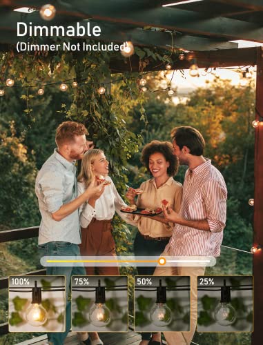 Outdoor String Lights 30FT Patio Lights with 25 Edison Glass Bulb (25 Feet)