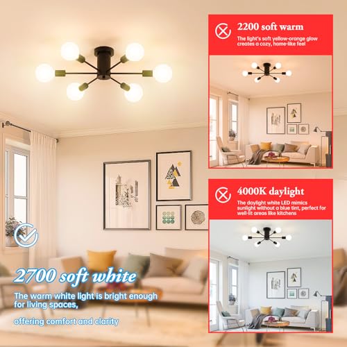 Frosted Globe LED Edison Bulb G30 (2 Count)