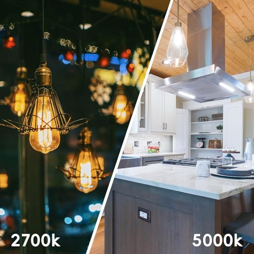 Edison Bulbs E26 LED Bulb 60 Watt Equivalent