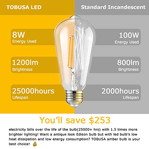 Dimmable LED Edison Light Bulbs 100W Incandescent Equivalent (4 Count)