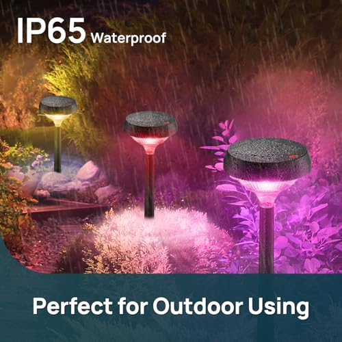 Solar Lights Outdoor 8 Pack (8 Count)