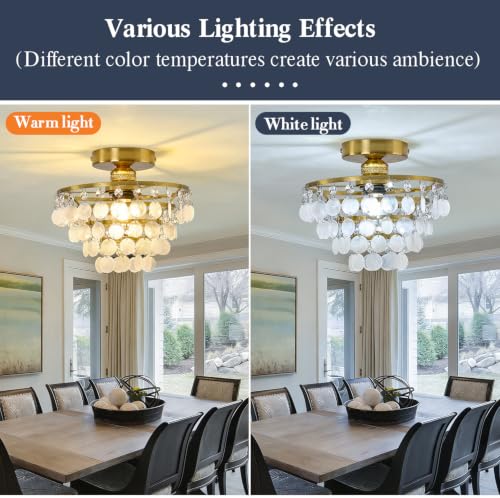 Capiz Shell Ceiling Light
