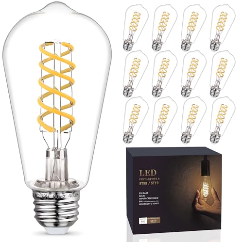 12Pack 60 Watt Equivalent Edison Light Bulbs (12 Count)