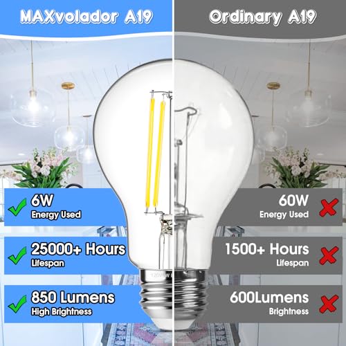60W Equivalent E26 LED Filament Light Bulbs (12 Count)