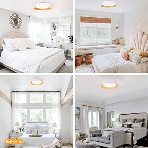 16.5" Flush Mount Ceiling Light