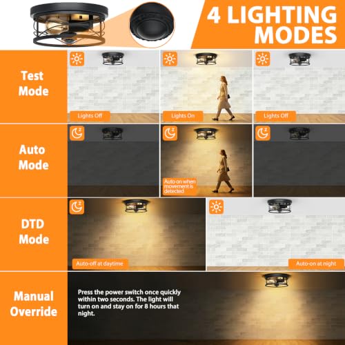 Dusk to Dawn Flush Mount Ceiling Light Fixtures