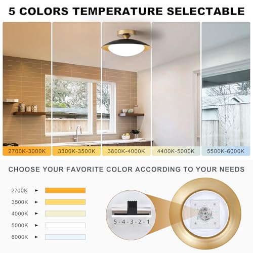 Dimmable Modern LED Black and Gold Ceiling Light Fixture 11.81 in
