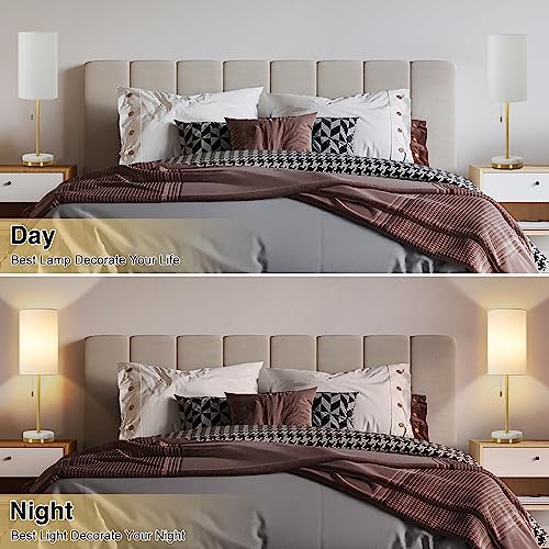 Desk Lamp & Table Lamp Set of 2 (2 Count)