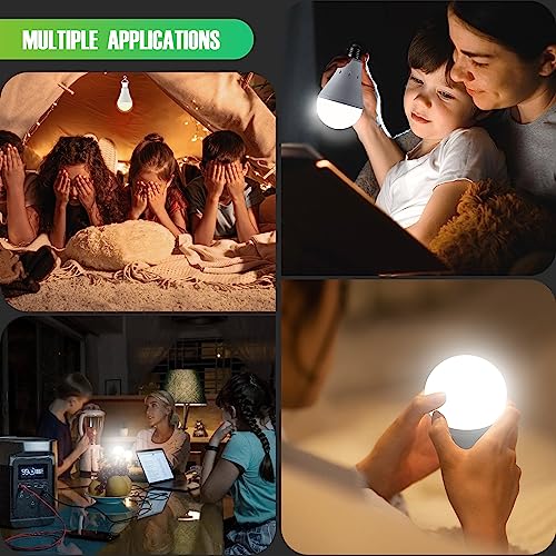 10 Pack Rechargeable Emergency Light Bulbs (10 Count)