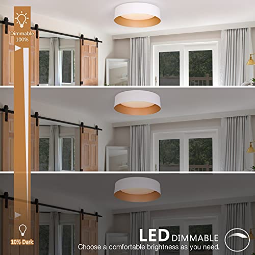 Flush Mount Ceiling Light