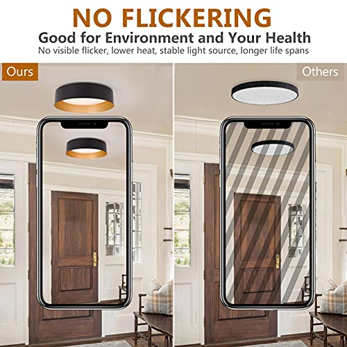 Flush Mount Ceiling Light 2 (2 Count)