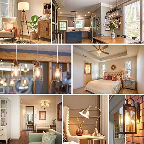 4 Pack Vintage LED Edison Bulbs 60W Equivalent (4 Count)