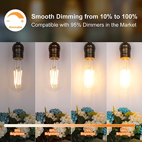 ST58 E26 LED Light Bulbs (24 Count)