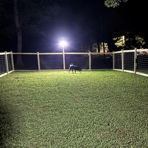 Solar Lights Outdoor Waterproof Motion Sensor (2 Count)