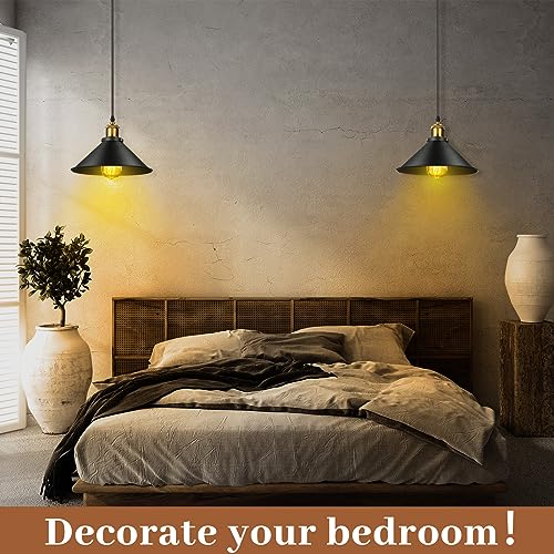 12 Pcs Industrial Pendant Light (12 Count)