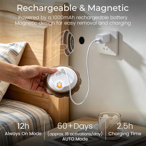 Motion Sensor Night Light Indoor