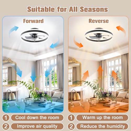 Fandelier Ceiling Fans with Lights and Remote
