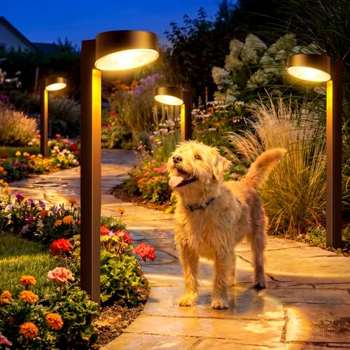 Solar Pathway Lights