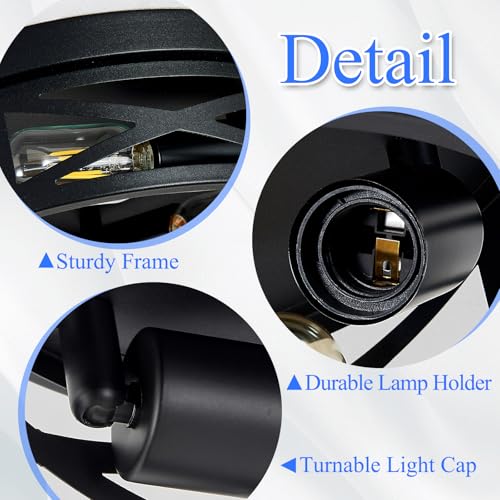 Flush Mount Ceiling Light Fixture