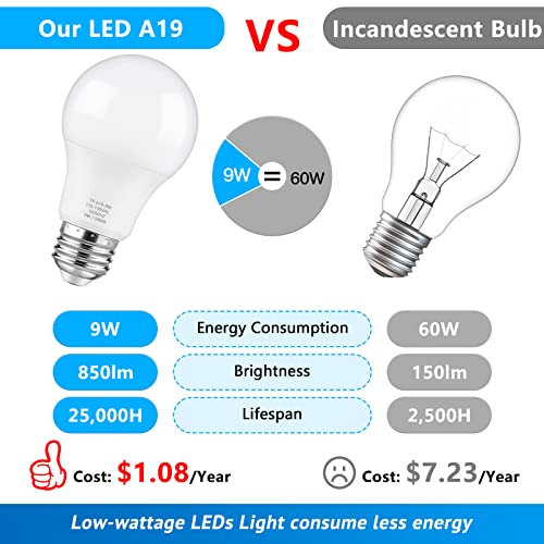A19 LED Light Bulbs (40 Count)