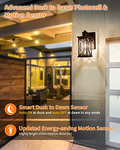 Motion Sensor Outdoor Wall Light with Dimmable Bulb