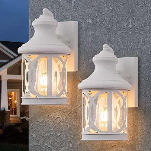 2 Pack Outdoor Wall Lights (2 Count)