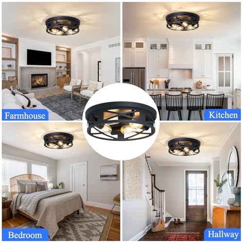 Flush Mount Ceiling Light Fixture