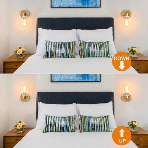 Metal Sconces Wall Lighting with Clear Glass Shade (2 Count)