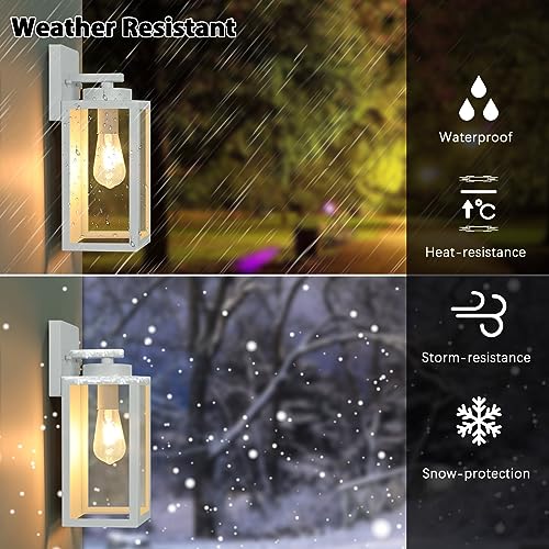 Outdoor Wall Light Fixtures (2 Count)