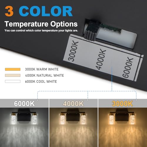 2 Light Black and Gold Vanity Light with 3 Color Modes