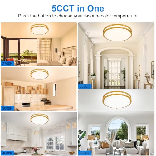 DLLT Flush Mount LED Ceiling Light