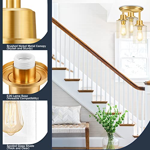 Semi Flush Mount Ceiling Light