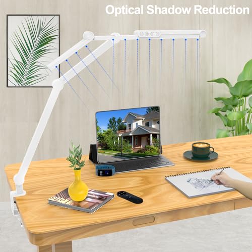 Architect Desk Lamp with Clamp