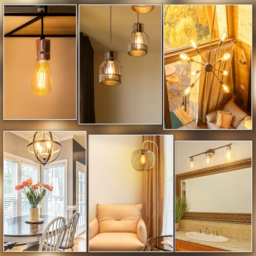 E26 Edison Bulbs 60W (2 Count)