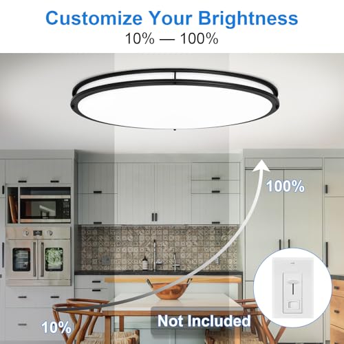 DLLT Flush Mount LED Ceiling Light