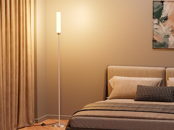 LED Floor Lamp with Remote Control