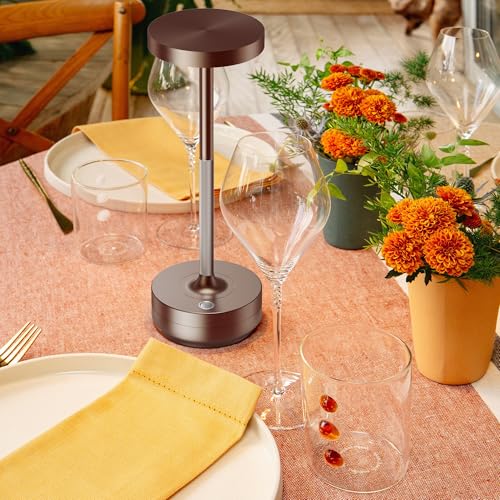 LED Cordless Table Lamp Rechargeable (2 Count)