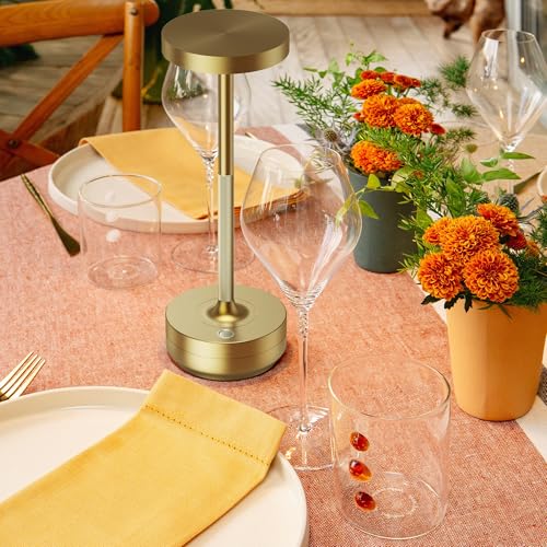 LED Ccordless Table Lamp Rechargeable (2 Count)