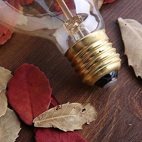 G25 Globe Edison Light Bulb (6 Count)