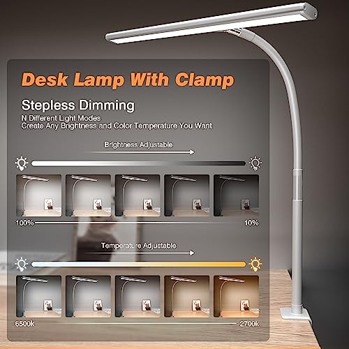 LED Desk Lamp with Clamp